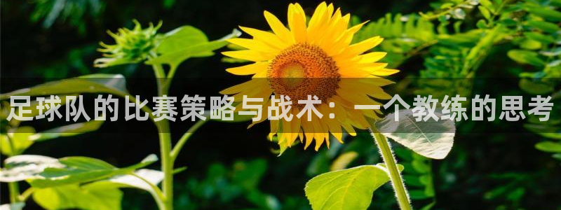 JJB竞技宝官网下载官方客服电话:足球队的比赛策略与战术:一