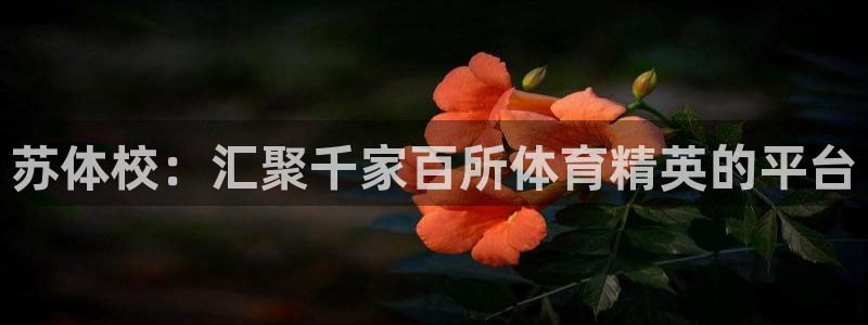 JJB竞技宝官网下载平台注册流程图:苏体校:汇聚千家百所体育