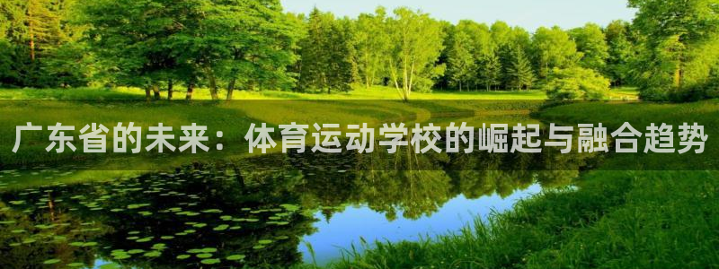 JJB竞技宝官网下载平台注册流程图:广东省的未来:体育运动学