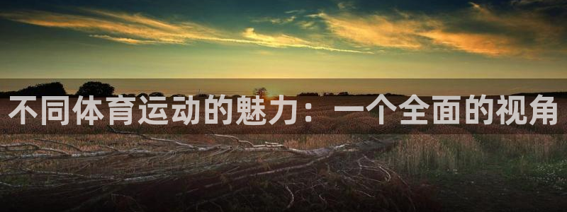 JJB竞技宝官网下载招商:不同体育运动的魅力:一个全面的视角